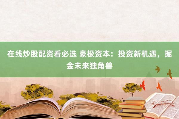 在线炒股配资看必选 豪极资本：投资新机遇，掘金未来独角兽