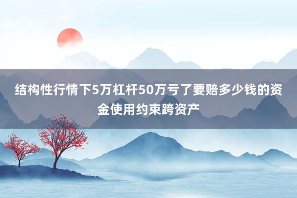 结构性行情下5万杠杆50万亏了要赔多少钱的资金使用约束跨资产